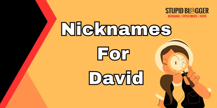 Nicknames For David