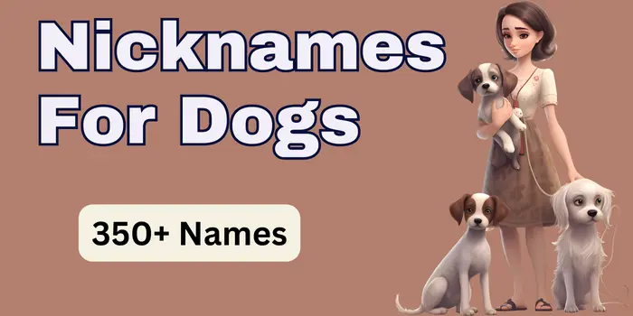 Nicknames For Dogs