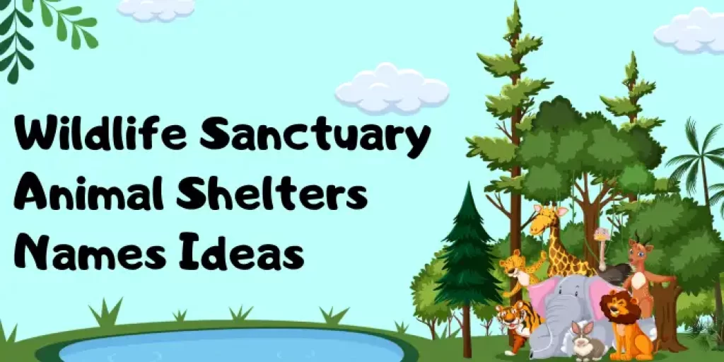 Wildlife Sanctuary Animal Shelters Names Ideas