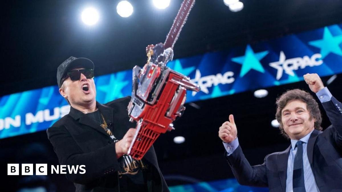 Musk Wielding His Doge Chainsaw, but Is Backlash Coming?